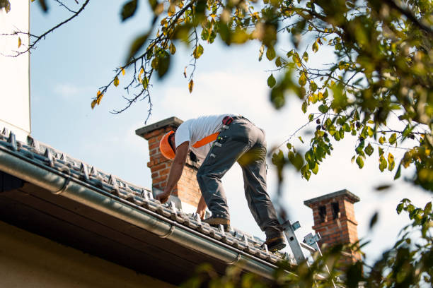 Roof Installation Near Me in Bossier City, LA